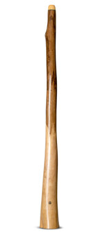 Wix Stix Opal Didgeridoo (WS199)
